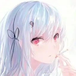 追剧小能手